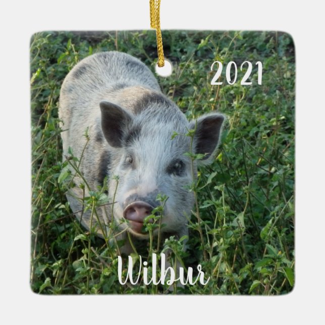 Personalisiert Mini Juliana Pet Pig Keramikornament (Vorderseite)