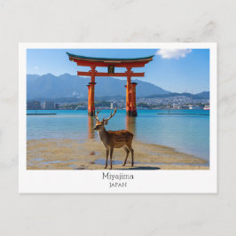 Personalisiert, Miyajima, Japan Postkarte