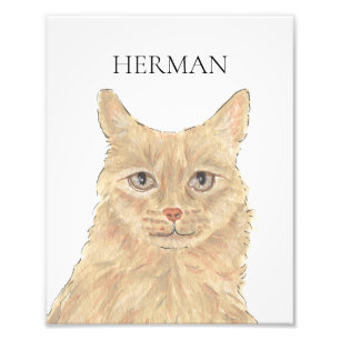 Personalisiert Orange Maine Coon Art Fotodruck