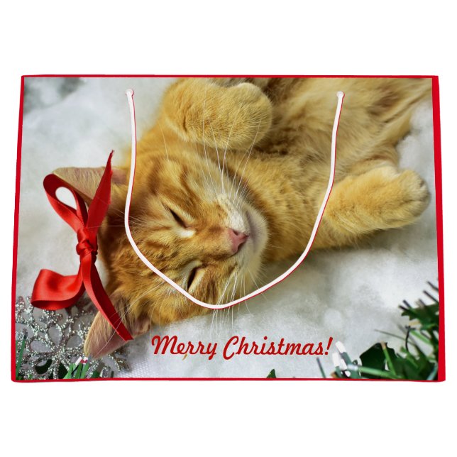 Personalisiert Orange Tabby Cat Weihnachten Große Geschenktüte (Vorderseite)