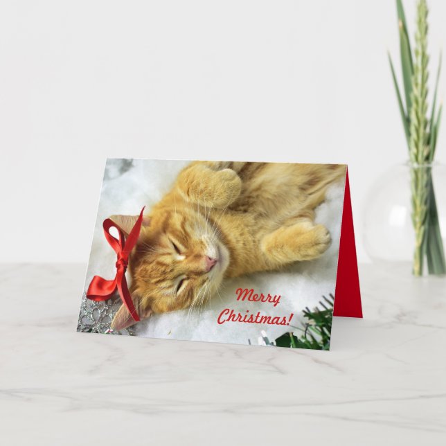 Personalisiert Orange Tabby Cat Weihnachten Karte (Vorderseite)
