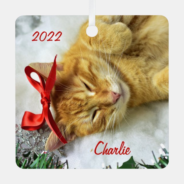 Personalisiert Orange Tabby Cat Weihnachten Ornament Aus Metall (Vorderseite)