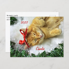 Personalisiert Orange Tabby Cat Weihnachten Postkarte