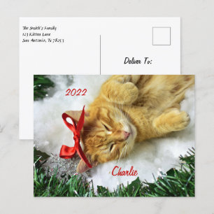 Personalisiert Orange Tabby Cat Weihnachten Postkarte