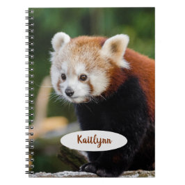 Personalisiert Red Panda Notizblock