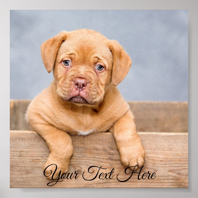 Personalisiert Square Poster Foto drucken. (Vorne)