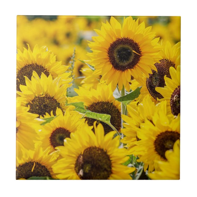 Personalisiert Sunflower Monogram  Fliese (Vorderseite)