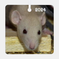 Personalisiert Tan Beige Dumbo Extravagante Ratte