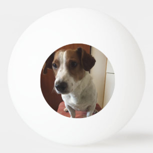 personalisiert Tischtennis ball Tischtennisball