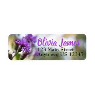 Personalisiert-violette Blumen Blumengarten Natur