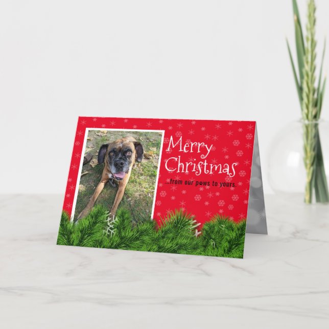 Personalisiert vom Hund - Weihnachtskarten Dankeskarte (Vorderseite)