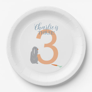 Personalisierte 3. Geburtstag Moderne Grau-Bunny-T Pappteller