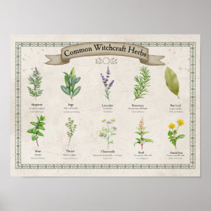Personalisierte alte botanische Kräutertafel Poster