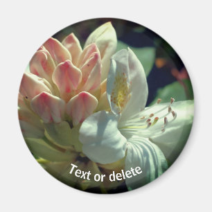 Personalisierte Azalea Blume Magnet