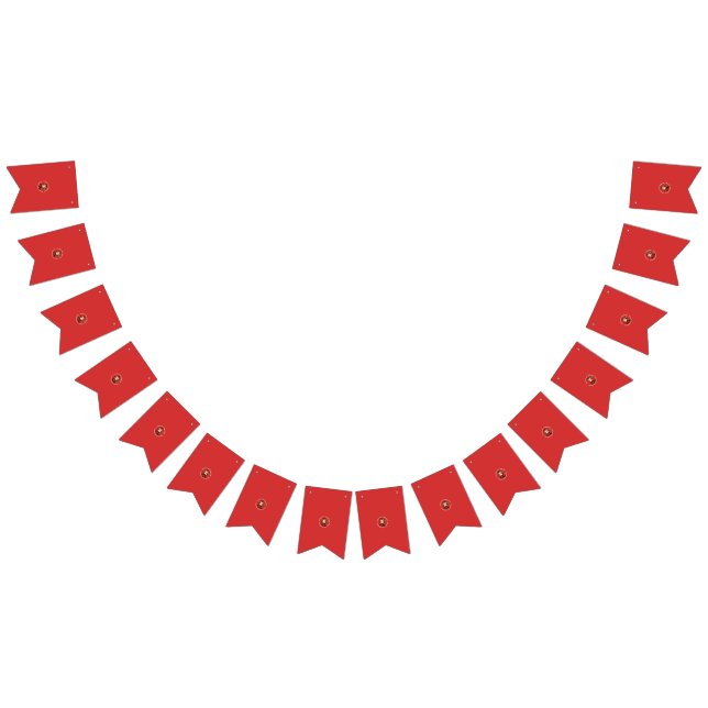 Personalisierte Banner zum Geburtstag und Hochzeit (Alle)