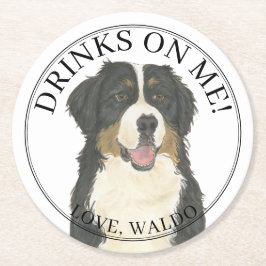 Personalisierte Berner-Hundeseihe Runder Pappuntersetzer