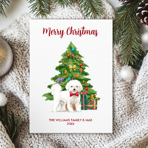 Personalisierte Bichon Frise-Hunde-Weihnachten Feiertagskarte