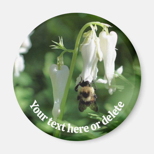 Personalisierte Biene auf weißer Akelei-Blüte Magnet (Vorne)