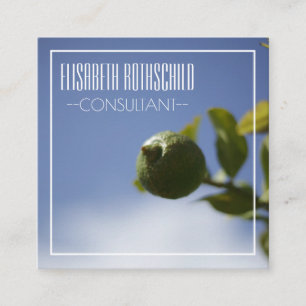 Personalisierte Bio Lemon Limon Business Card Quadratische Visitenkarte
