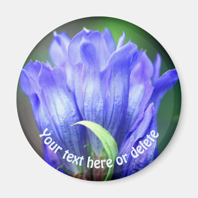 Personalisierte Blaue Enzianblume Magnet (Vorne)