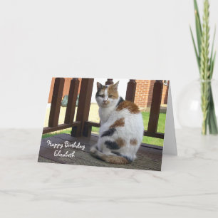 Personalisierte Calico Katze Geburtstag Karte