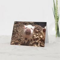 Personalisierte Dirty Snout Mini Pig Grußkarte