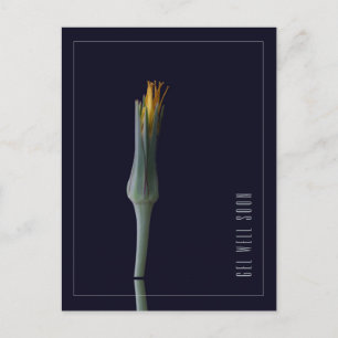 Personalisierte einfache elegante Blumen Werde bal Postkarte