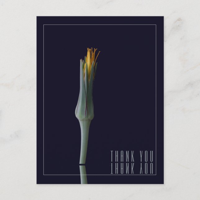 Personalisierte Elegant Floral Mirror Black Vielen Postkarte (Vorderseite)