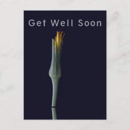 Personalisierte Elegante Blume auf Black Get Well Postkarte