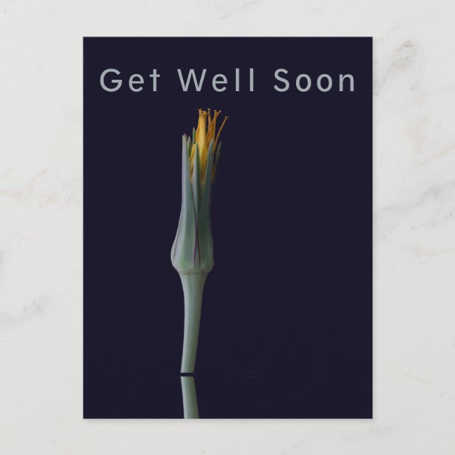 Personalisierte Elegante Blume auf Black Get Well Postkarte (Vorderseite)