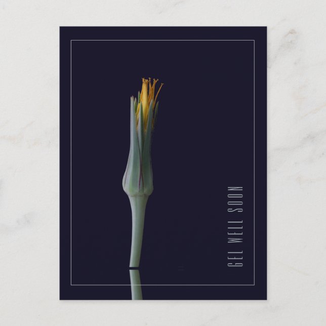 Personalisierte Elegante Blume wird bald zum Erfol Postkarte (Vorderseite)