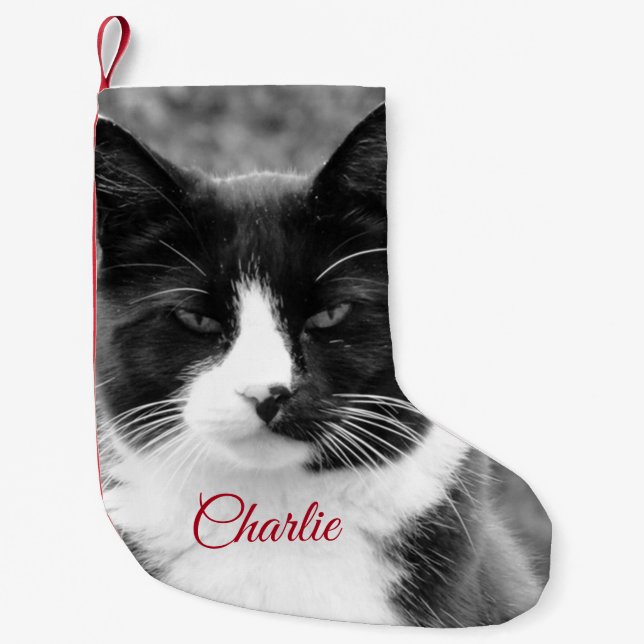 Personalisierte Ferien bei Katzen oder Hunden Kleiner Weihnachtsstrumpf (Vorderseite)