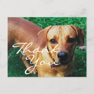 Personalisierte Foto-Dankeschön-Karten Postkarte