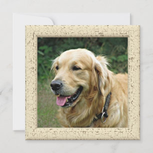Personalisierte Fotokarte von Ihrem Hund Ankündigung