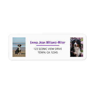 Personalisierte Fotos mit Hund moderner Absenderad