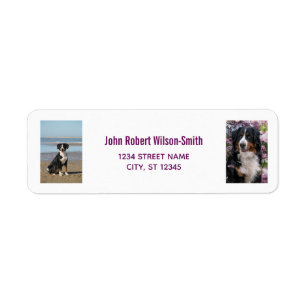 Personalisierte Fotos mit Hund moderner Rücksendea