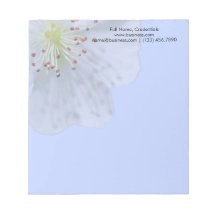 Personalisierte Frühjahr-Weiße Blume auf Light Blu