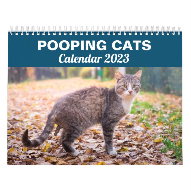 Personalisierte Funny Cats Kackend Kalender 2026 (Titelbild)