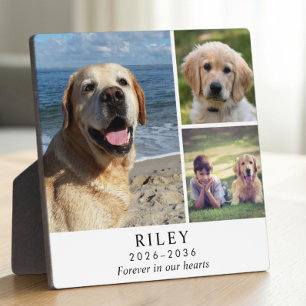 Personalisierte Gedenk-Foto-Collage für Hunde Fotoplatte