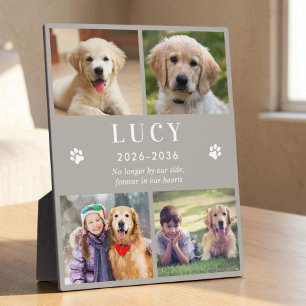 Personalisierte Gedenk-Foto-Collage-Plakette für H Fotoplatte