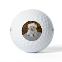 Personalisierte Golfbälle mit süßem Haustierfoto