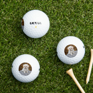 Personalisierte Golfbälle mit süßem Haustierfoto