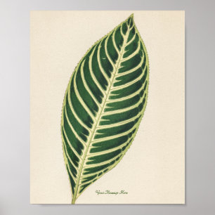 Personalisierte grüne Leaf-Pflanze Poster