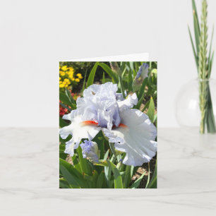 Personalisierte Grußkarte mit Lavendel-Iris Karte