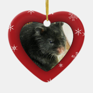Personalisierte Hamster-Foto-Feiertags-Verzierung Keramik Ornament