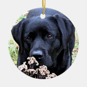 Personalisierte Haustiere Welpen Foto Hund Erste W Keramik Ornament