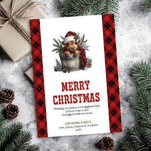 Personalisierte Highland-Kuh-Weihnachtsgrüße Feiertagskarte