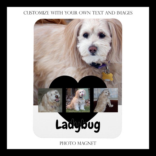 Personalisierte Hunde-Foto-Collage mit individuell Magnet (Von Creator hochgeladen)