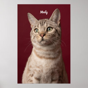Personalisierte Hunde- und Katzen-Namen-Fotodrucke Poster