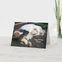 Personalisierte Kalikokatze gekräuselt herauf